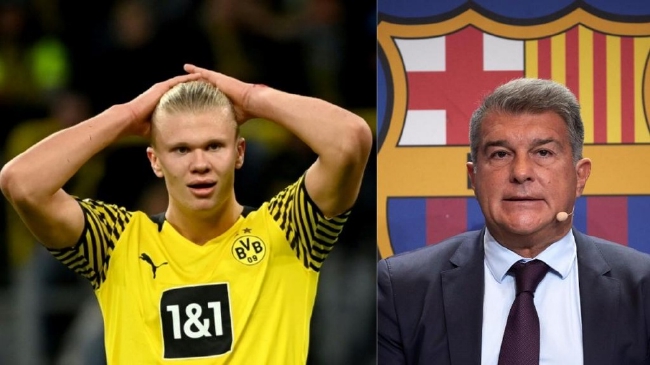 格林伍德最新身价5000万欧，恢复至曼联时期巅峰身价（格林伍德身价回升至5000万欧，重返曼联巅峰估值）